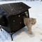 WarmHaven Insulated Outdoor Cat Shelter Winter Nest 1