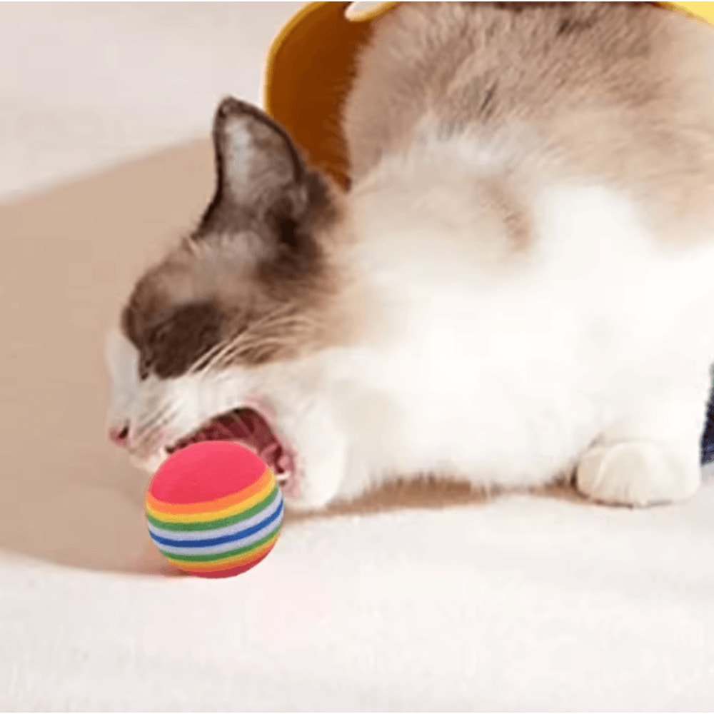RainbowBounce EVA Cat Toy Balls Interactive Chew Chase Play Set 1