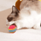 RainbowBounce EVA Cat Toy Balls Interactive Chew Chase Play Set 1