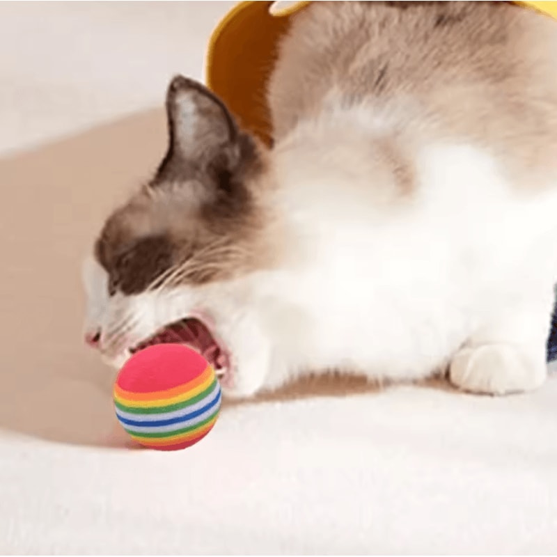 RainbowBounce EVA Cat Toy Balls Interactive Chew Chase Play Set 1
