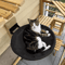 SkyLounge WallMounted Cat Hammock Climbing Shelf 0