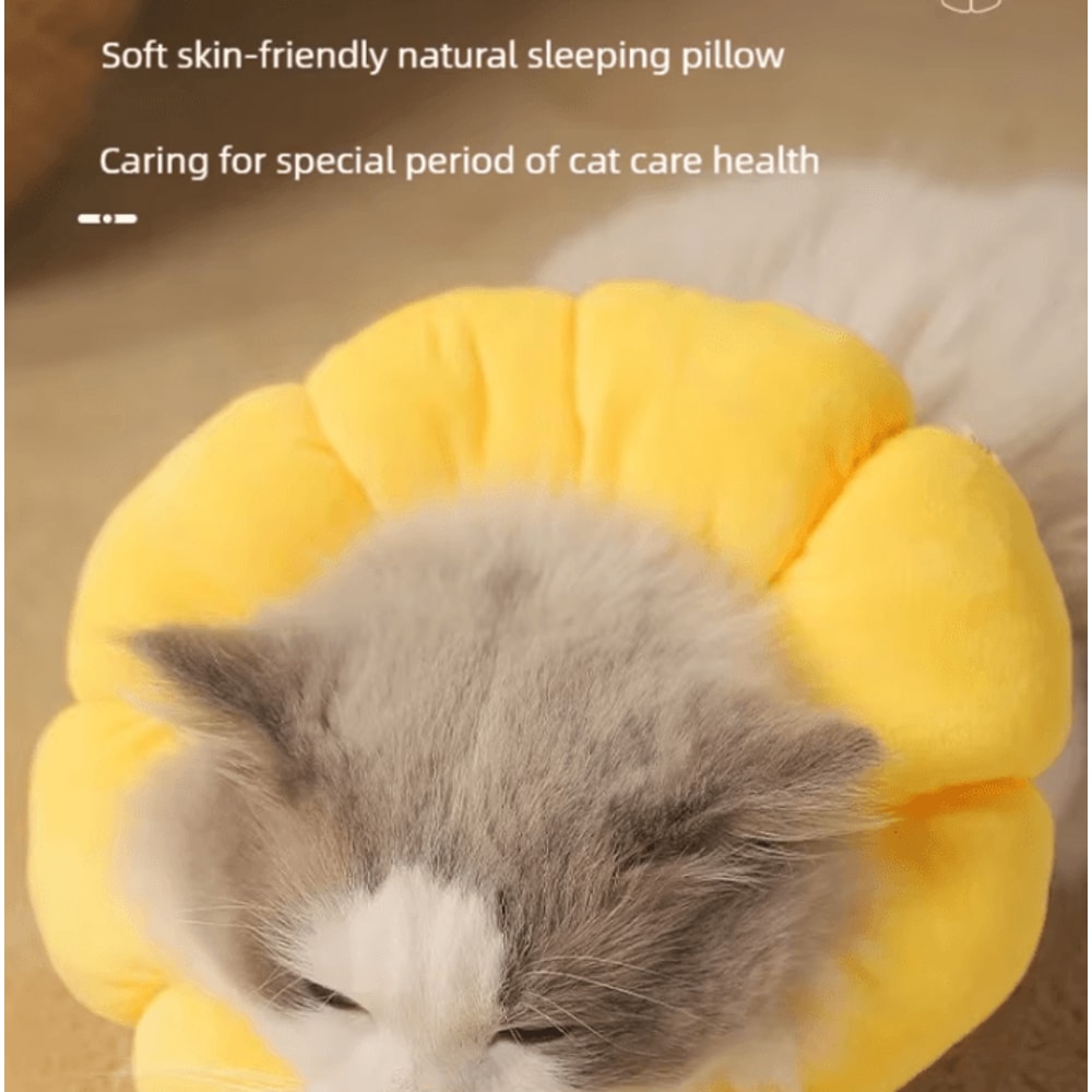 SunnyBloom Recovery Collar For Cats Small Pets 4