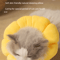 SunnyBloom Recovery Collar For Cats Small Pets 4