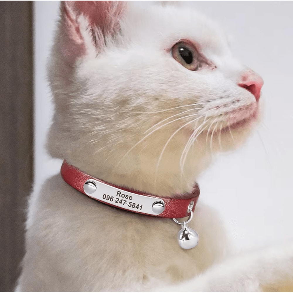 LuxeTag Personalized Leather Cat Collar With Engraved ID Bell 1