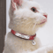 LuxeTag Personalized Leather Cat Collar With Engraved ID Bell 1