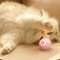 TurboBounce Smart Interactive Rolling Ball Cat Toy 2