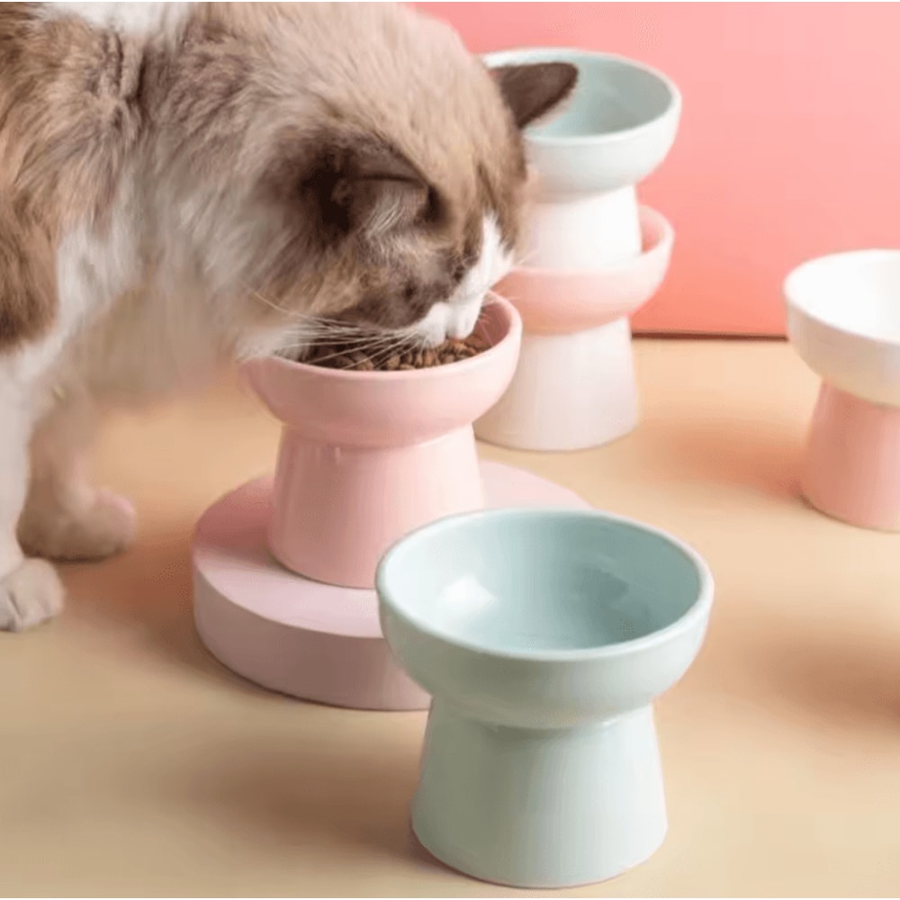 ElevaBowl Ceramic Raised Pet Feeding Bowl 300ml 1