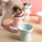ElevaBowl Ceramic Raised Pet Feeding Bowl 300ml 1