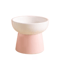 ElevaBowl Ceramic Raised Pet Feeding Bowl 300ml 3