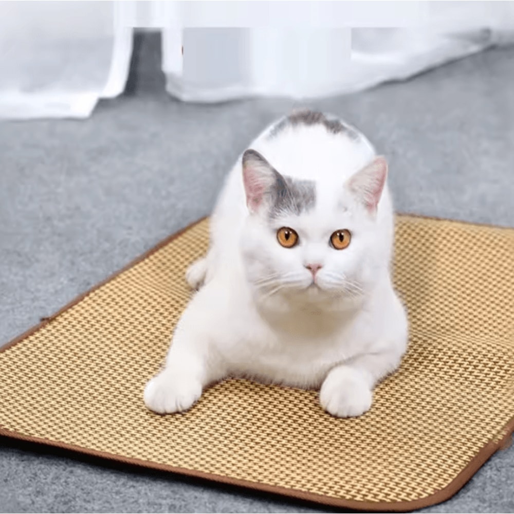CoolPaws Cooling Pet Mat Summer Comfort Bed For Dogs Cats 1