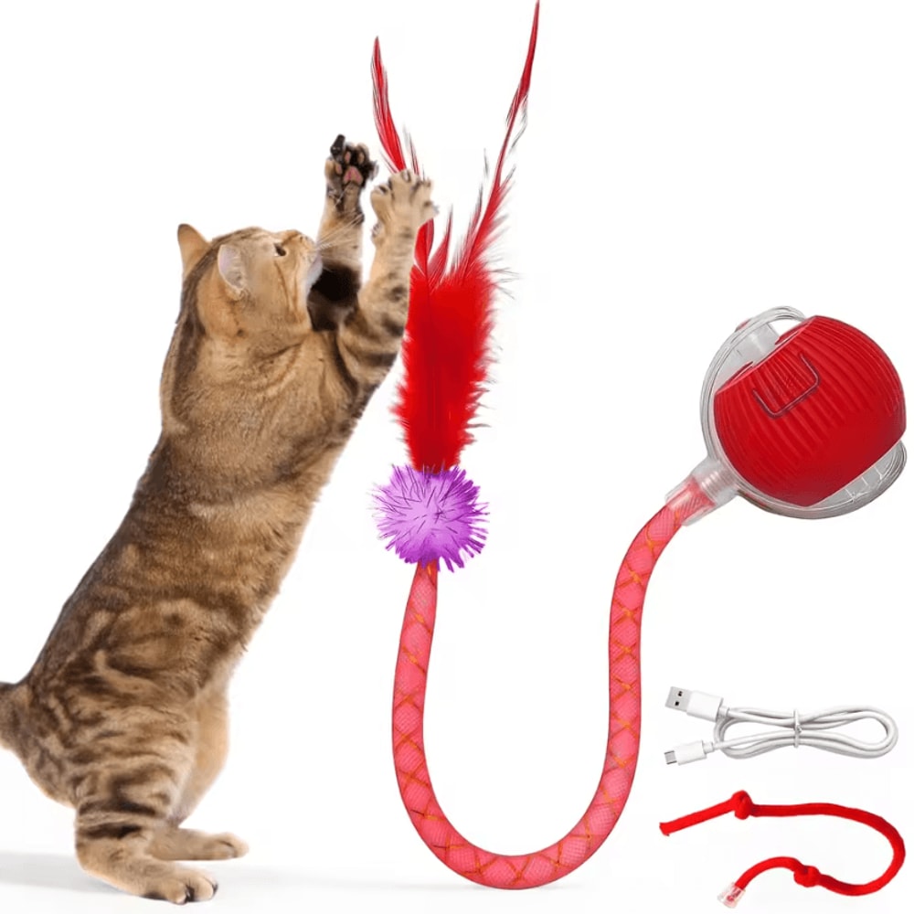 SpeedyTail Smart Interactive Moving Ball For Cats 3