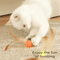 FeatherBounce Elastic Ball Cat Toy Interactive Chase Pounce Fun 1