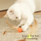 FeatherBounce Elastic Ball Cat Toy Interactive Chase Pounce Fun 1