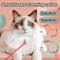 LaserPaws Rechargeable Automatic Laser Collar Toy For Cats 2
