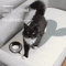 SelfAdhesive Cat Scratching Carpet Trimmable Furniture Wall Protector For Cats 1