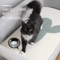 SelfAdhesive Cat Scratching Carpet Trimmable Furniture Wall Protector For Cats 1