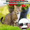 Reflective AirTag Cat Collar With Bell Breakaway GPS Holder Collar For Cats 1