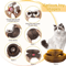 Magic Organ Cat Scratcher Round Corrugated Scratch Board Interactive Cat Toy 4