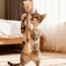 Cat Mint Dental Chew Stick Toy Natural Teeth Cleaning Interactive Cat Toy 0