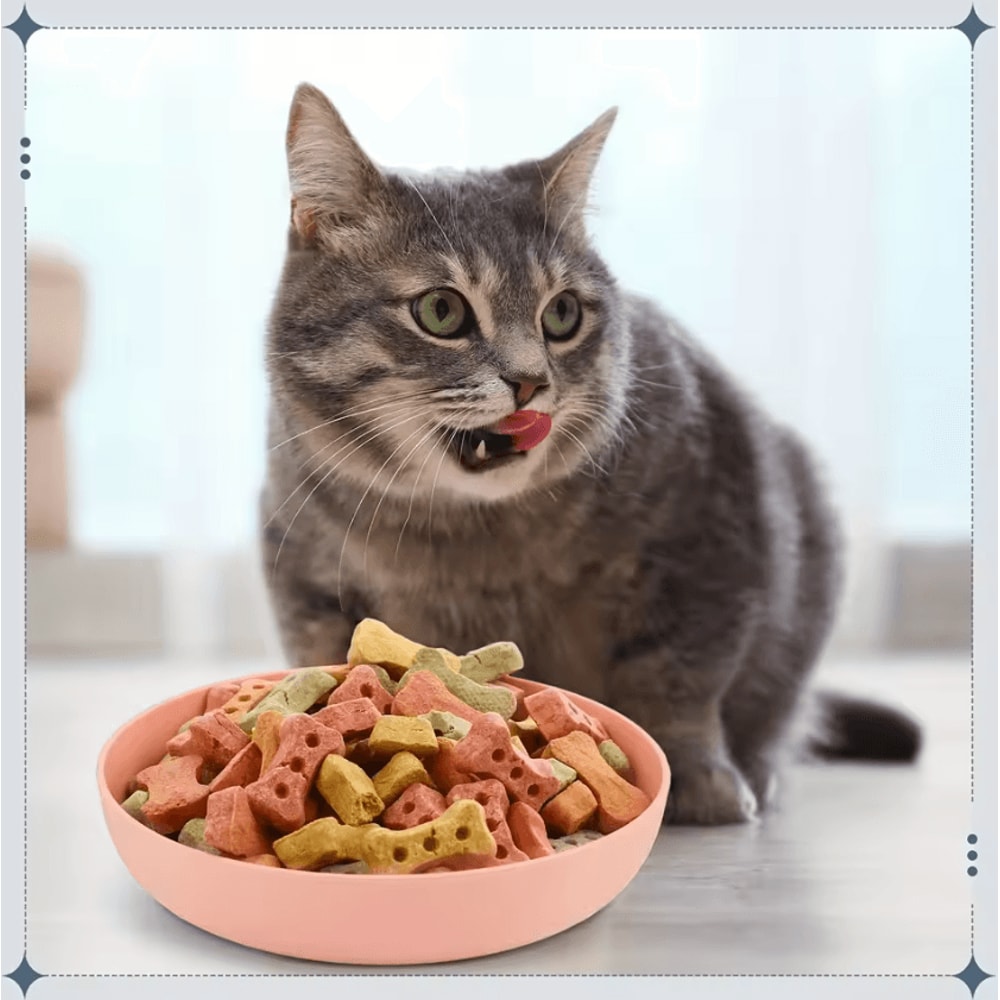 4Piece Wide Shallow Cat Bowl Set NonSlip Feeding Dishes For Cats Kittens 2
