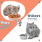 4Piece Wide Shallow Cat Bowl Set NonSlip Feeding Dishes For Cats Kittens 3