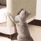 SelfAdhesive Cat Scratching Mat Trimmable Furniture Protector DIY Scratcher Carpet 1