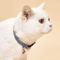 Geometric Doodles Cat Collar With Bell Adjustable Colorful Collar For Cats Small Pets 2