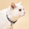 Geometric Doodles Cat Collar With Bell Adjustable Colorful Collar For Cats Small Pets 2