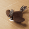 Rechargeable Flapping Bird Cat Toy TouchActivated Chirping Plush Toy With Catnip 2