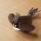 Rechargeable Flapping Bird Cat Toy TouchActivated Chirping Plush Toy With Catnip 6