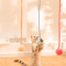 Suction Cup Bunny Fur Ball Cat Toy Interactive Spring Teaser For SelfPlay Fun 1