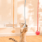 Suction Cup Bunny Fur Ball Cat Toy Interactive Spring Teaser For SelfPlay Fun 1