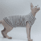 DUOMASUMI Cooling Cat Vest UltraSoft Summer Shirt For Hairless Sensitive Cats 2