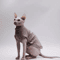 DUOMASUMI Cooling Cat Vest UltraSoft Summer Shirt For Hairless Sensitive Cats 6