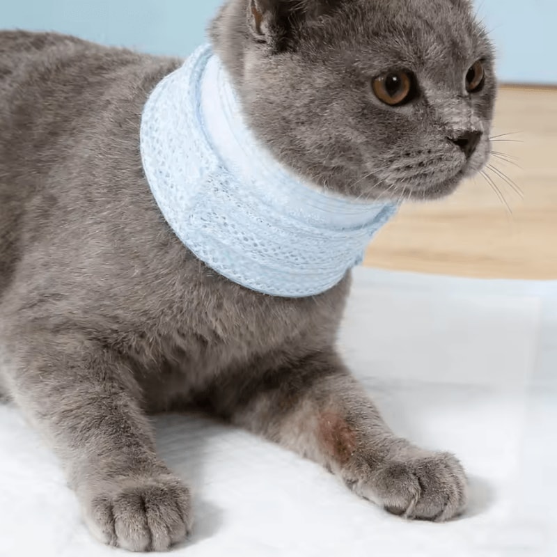 ComfortGuard Waterproof Cat Recovery Neck Brace Collar 1