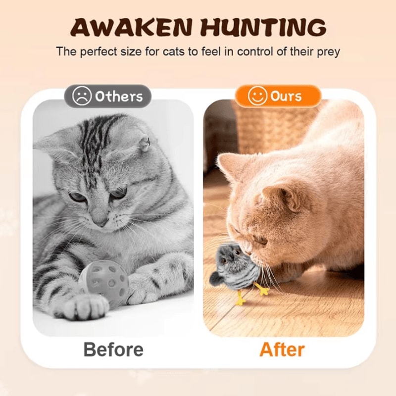 SkyChirp Interactive Flying Bird Cat Toy 2