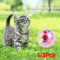 GhostGlow Motion Activated Flash Cat Ball Toy 1