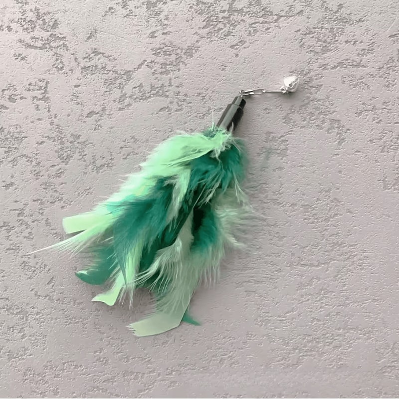 Interactive Feather Cat Toy Replacement Set 3PCS5PCS Refill Pack 4