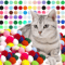 Colorful Plush Cat Toy Balls 98PCS198PCS Interactive Play Pack 0
