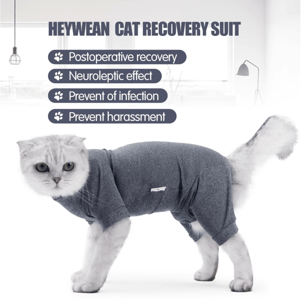 Cozy Cotton Cat Recovery Suit For PostSurgery Healing 0