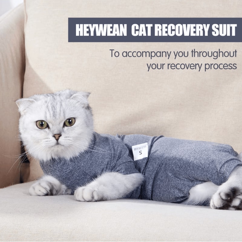Cozy Cotton Cat Recovery Suit For PostSurgery Healing 1
