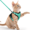 Reflective EscapeProof Cat Harness Leash Set For Safe Outdoor Adventures 4