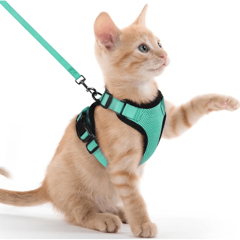 Reflective EscapeProof Cat Harness Leash Set For Safe Outdoor Adventures 4