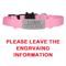 Personalized Engraved Breakaway Cat Collar Adjustable Safety Collar With Custom ID 5