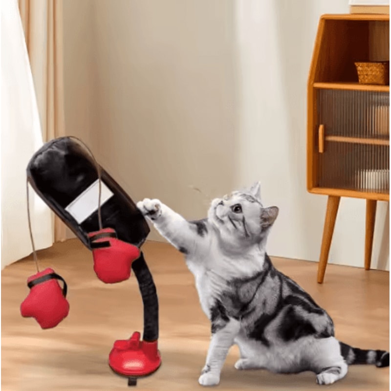 Cartoon Cat Punching Bag Toy With Suction Cup Base 3