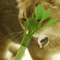 Bell Nip Natural Catnip Molar Chew Toy 1
