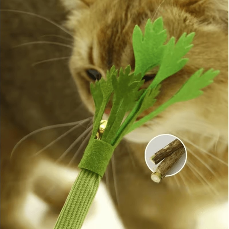 Bell Nip Natural Catnip Molar Chew Toy 1