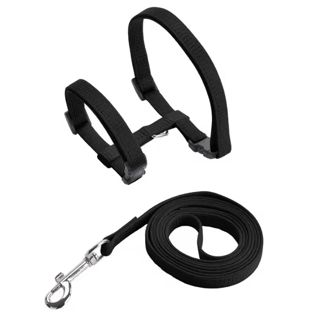 ComfortFit Sphynx Cat Harness Leash Set 4