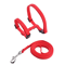 ComfortFit Sphynx Cat Harness Leash Set 5