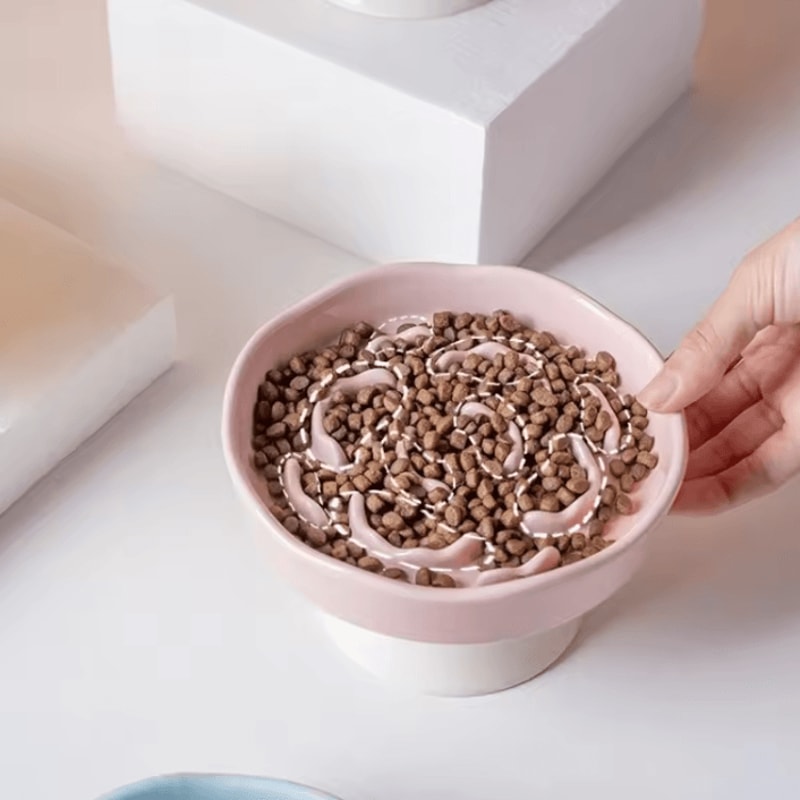 Elevated Ceramic Slow Feeder Bowl For Cats Small Dogs 1